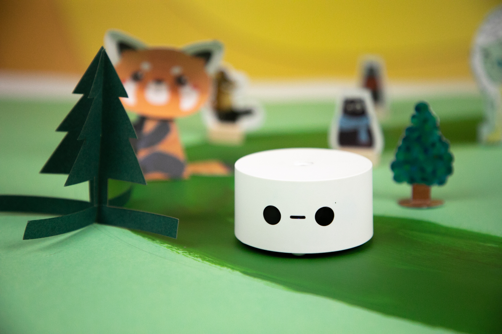 Stem Academy Course Categories